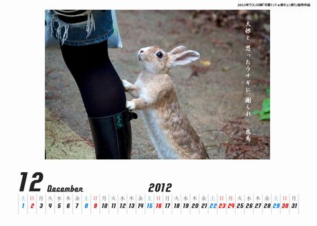 ウサギカレンダー大根460