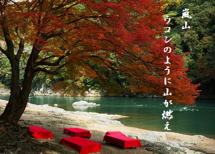 ほづ川(京都)文字入2