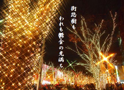イルミネーション(表参道)文字