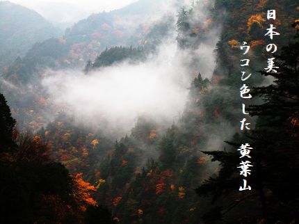 こうよう(みたらい渓谷早朝)文字