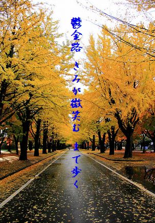 イチョウ並木2(北大)文字