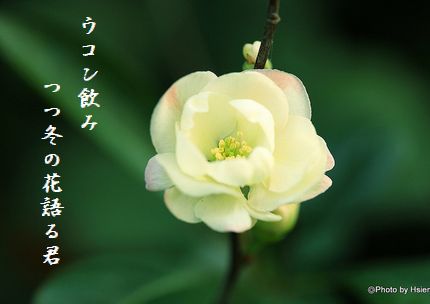 かんばい2文字