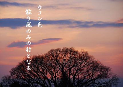 ふゆこだち2文字