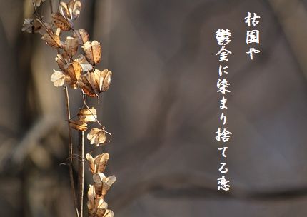 ふゆ枯れ5文字