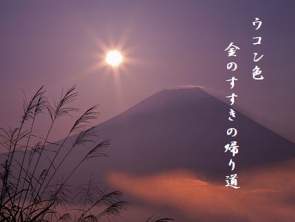 ふじさんとススキ(夕景)文字