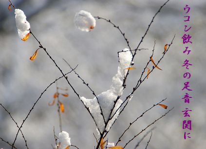 ゆきの花文字