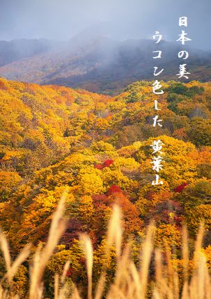 こうよう(磐梯山)文字