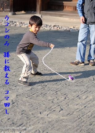 こま回し文字