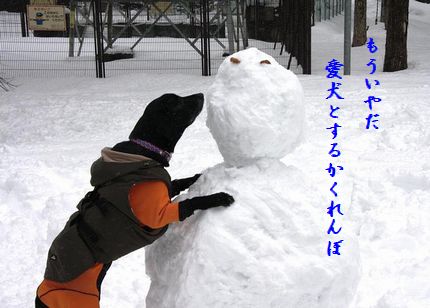 U1-L愛犬とかくれんぼ