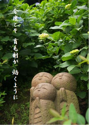 U1-E育毛剤