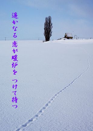 U1-D遥かなる恋