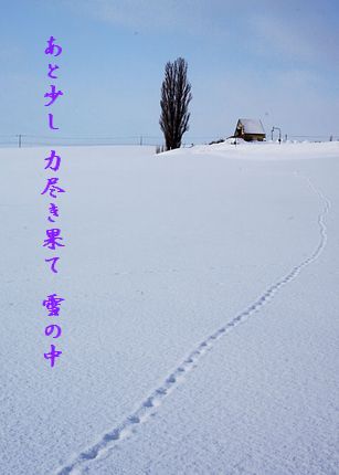 U1-Dあと少し