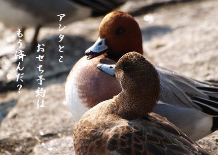 U1-Jおせち予約
