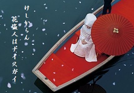 U1-N花盗人