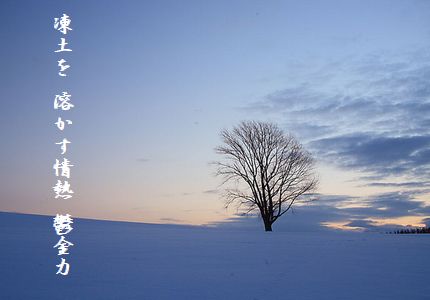 ゆき景色(美瑛の丘)文字