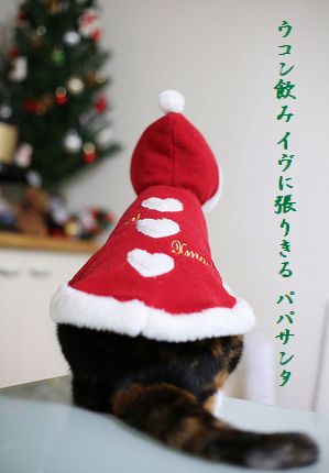 クリスマスキャット文字