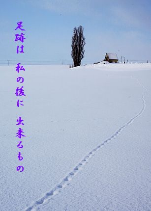 U1-D足跡
