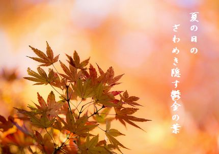 こうよう(上野公園)文字
