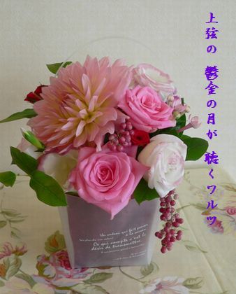 ムーンワルツ2文字