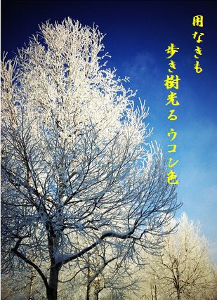 じゅひょう文字