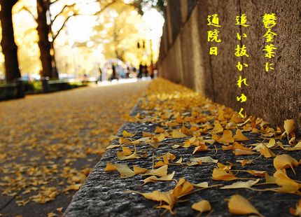 こうよう(イチョウ落ち葉)文字