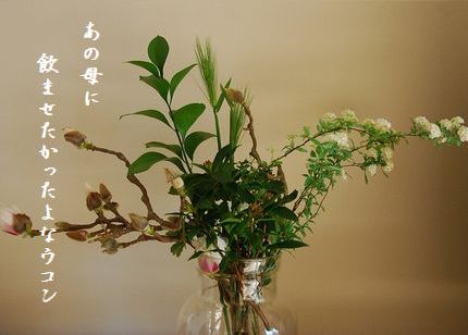 ふゆの花(白木蓮、沈丁花、小手毬)文字