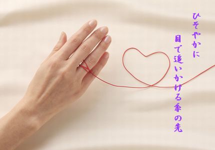 U1-C糸の先