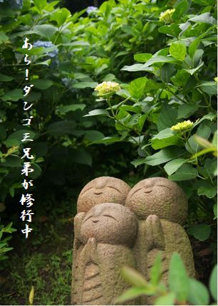 U1-Eダンゴ三兄弟