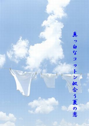 U1-Oコットン似合う