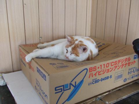12062008.jpg