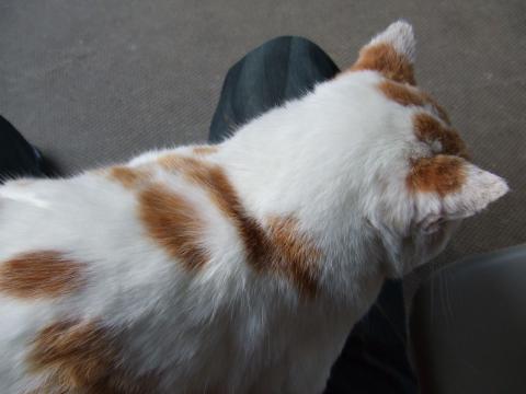 12062009.jpg