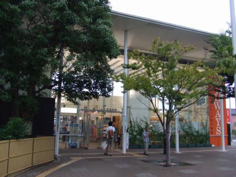 12090911.jpg