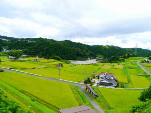 12091804.jpg