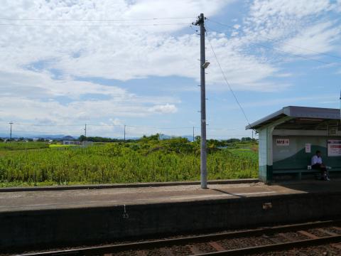 12092505.jpg