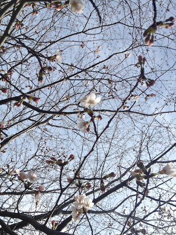 20130321-5.png