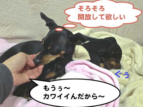 20130330-7.png