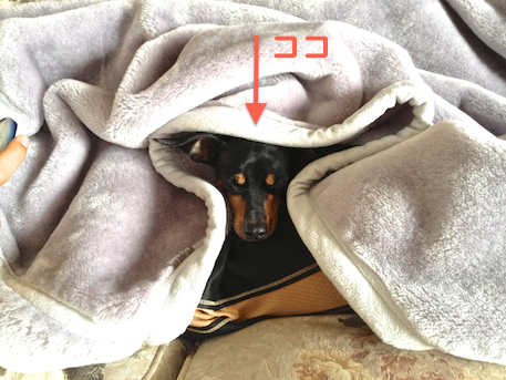 20130402-1.png