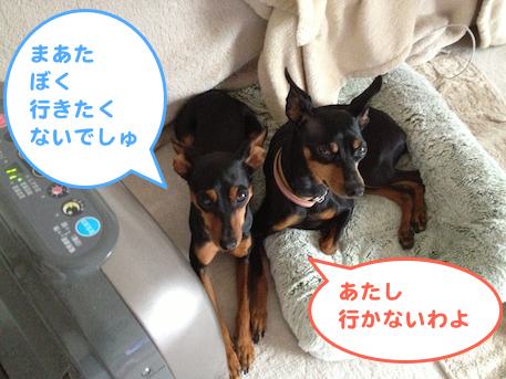 20130406.png