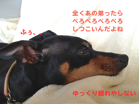 20130409-3.png