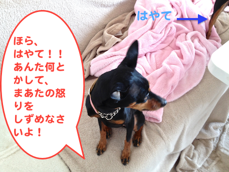 20130410-3.png