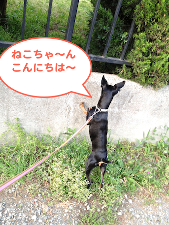 20130419-4.png