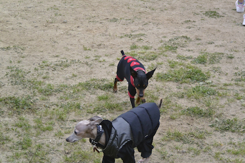 20130421-2.png