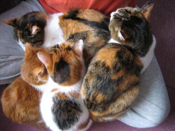 IMG_0887_convert_20120430122925.jpg