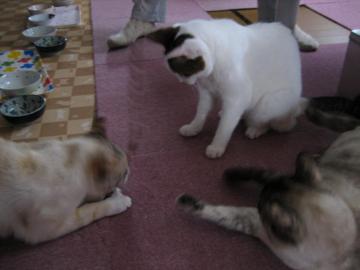 IMG_1386_convert_20120522192250.jpg