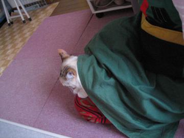 IMG_1718_convert_20120510192022.jpg