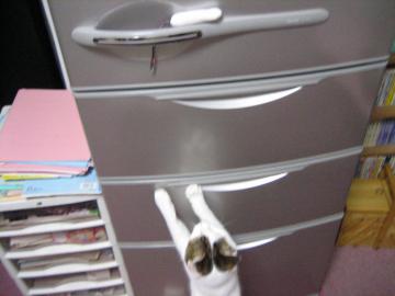IMG_1924_convert_20120520210620.jpg