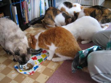 IMG_2165_convert_20120611123713.jpg