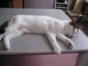 IMG_2311_convert_20120702113753.jpg