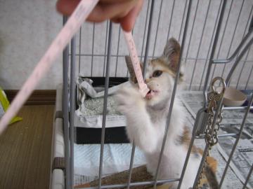 IMG_2559_convert_20120630121711.jpg