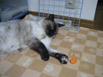 IMG_3109_convert_20120715125350.jpg